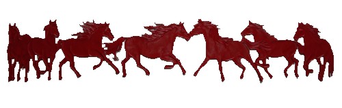 HORSES BORDER (164 X 30)