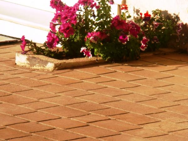 Stencil Concrete Spray