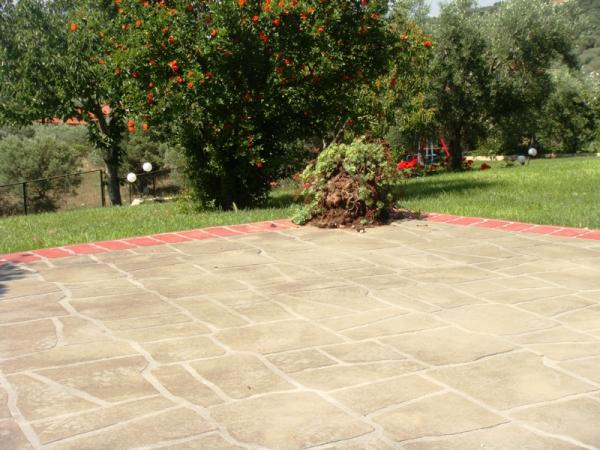 Stencil Concrete Spray